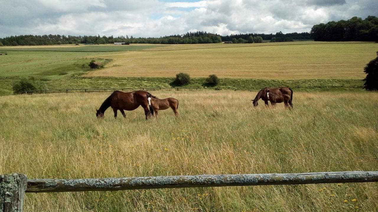 Schoene Aussicht Vöhl Esterno foto